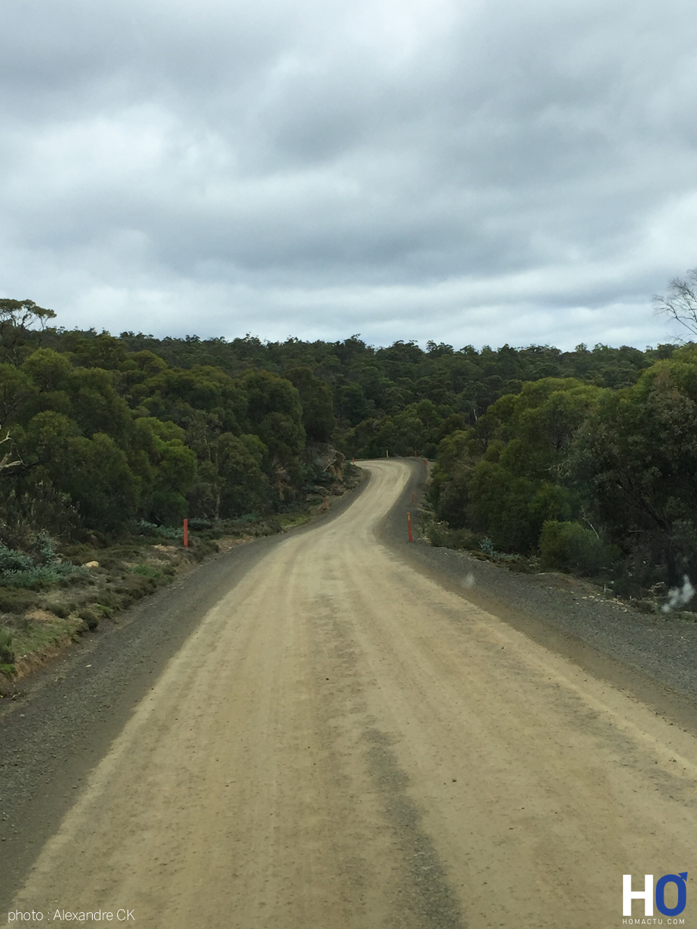 Tasmanie_fev_2016_1187