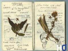 DIPTYQUE sort une nouvelle fragrance: L’Eau du trente-quatre