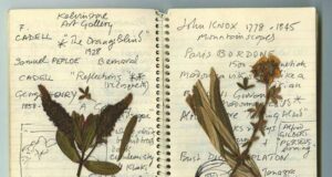 DIPTYQUE sort une nouvelle fragrance: L’Eau du trente-quatre