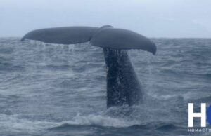 Nouvelle-Zélande, épisode 6 : Kaikoura, ou la faune à l’état sauvage !