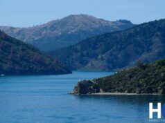 Nouvelle-Zélande, épisode 5 : cap au Sud