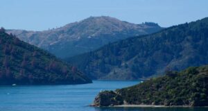 Nouvelle-Zélande, épisode 5 : cap au Sud