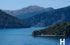 Nouvelle-Zélande, épisode 5 : cap au Sud