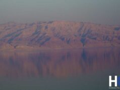 Ein Gedi et Massada, un duo de choc au bord de la Mer Morte