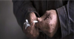 Patagonia: sous-vêtements techniques Automne/Hiver 2013-2014