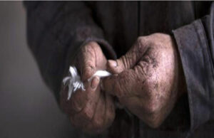 Patagonia: sous-vêtements techniques Automne/Hiver 2013-2014