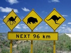 Australie ! L’aventure vous attend…