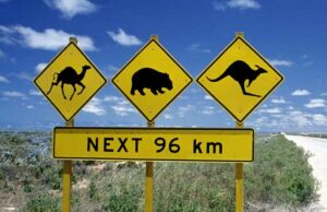 Australie ! L’aventure vous attend…