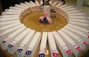 Sixtine’s, une autre façon de penser le boxer!