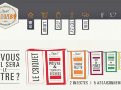 Jimini’s, les insectes qui croustillent!