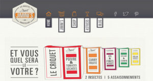 Jimini’s, les insectes qui croustillent!