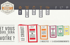 Jimini’s, les insectes qui croustillent!