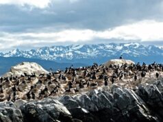 Ushuaïa, Voyage en Terre de Feu.