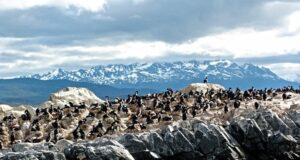 Ushuaïa, Voyage en Terre de Feu.