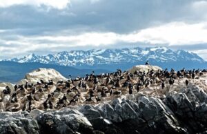 Ushuaïa, Voyage en Terre de Feu.