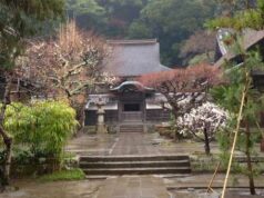 Kamakura, plongée spirituelle au coeur du Japon