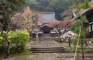 Kamakura, plongée spirituelle au coeur du Japon