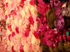 Boucheron, Van Cleff & Arpels, Repetto, Jimmy Choo !!!