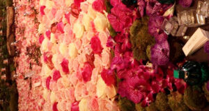 Boucheron, Van Cleff & Arpels, Repetto, Jimmy Choo !!!