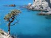 Les Cyclades : plongée dans des eaux cristallines