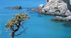 Les Cyclades : plongée dans des eaux cristallines