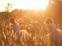 ” SUMMER ” de Alanté Kavaïté .