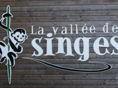 Voyage de presse : La Vienne – La Vallée des Singes .