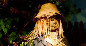 Voyage de presse : La Vienne – Le Cormenier.