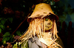 Voyage de presse : La Vienne – Le Cormenier.