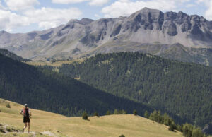 VARS MOUNTAIN TRAIL (HAUTES-ALPES) : 2ème ÉDITION !