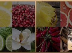 Karl Lagerfeld : Private Club, une nouvelle fragrance !