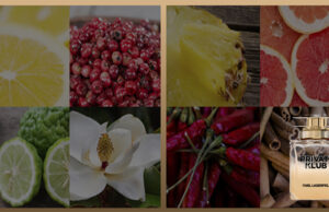 Karl Lagerfeld : Private Club, une nouvelle fragrance !