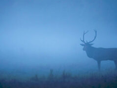 “Les Saisons ” de Jacques Perrin et Jacques Cluzaud.