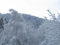 La Maurienne, le ski sans chichis