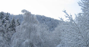 La Maurienne, le ski sans chichis