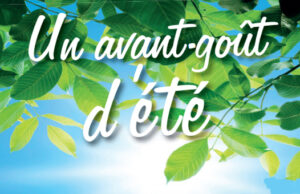 Un Printemps à petit prix chez Leader Price !