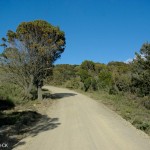 Tasmanie_fev_2016_0064