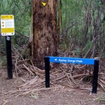 Tasmanie_fev_2016_0198
