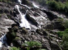 Carnet de voyage : Tasmanie, sur la route de Lauceston