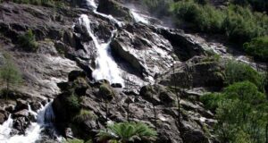 Carnet de voyage : Tasmanie, sur la route de Lauceston