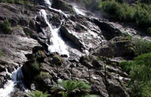 Carnet de voyage : Tasmanie, sur la route de Lauceston