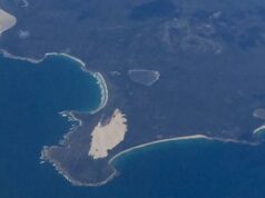 Carnet de voyage : à la découverte de la Tasmanie !