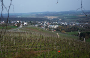 La Moselle Luxembourgeoise et ses vignobles . Part 2 !