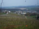 La Moselle Luxembourgeoise et ses vignobles . Part 2 !