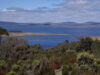 Carnet de voyage : les hauts plateaux de Tasmanie