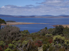 Carnet de voyage : les hauts plateaux de Tasmanie