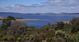 Carnet de voyage : les hauts plateaux de Tasmanie