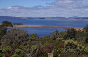 Carnet de voyage : les hauts plateaux de Tasmanie