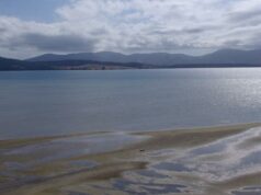 Carnet de voyage : profiter du temps qui passe à Bruny Island