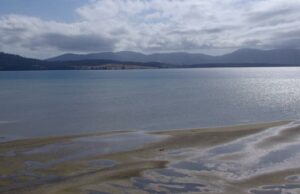 Carnet de voyage : profiter du temps qui passe Ă Bruny Island